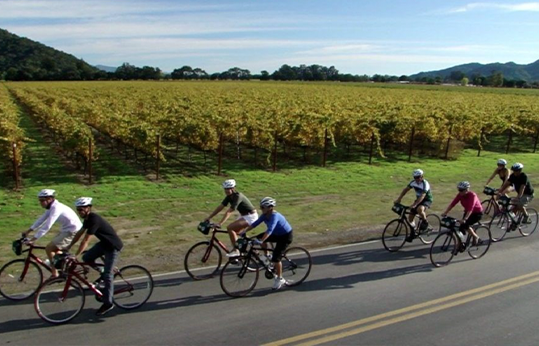 Wine Country